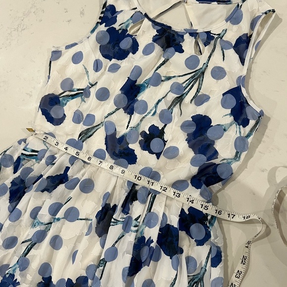 Gabby Skye Blue and White Sleeveless Midi Dress - Picture 9 of 13